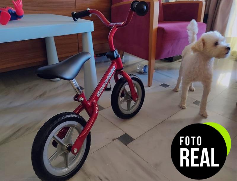 chicco-first-bike-roja-foto-2