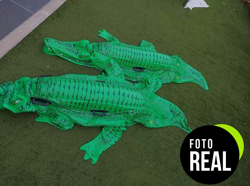 intex-giant-gator-flotador-foto-2