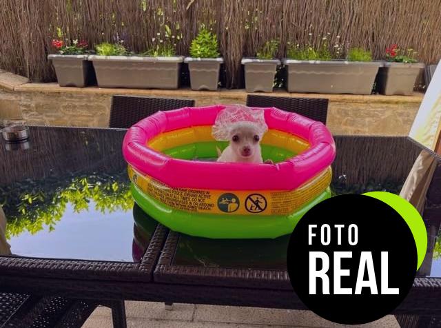 piscina-hinchable-intex-bebe-foto-1